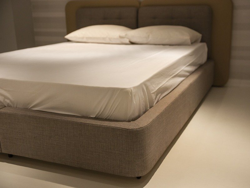 Entreprise pour suppression punaises de lit Meudon